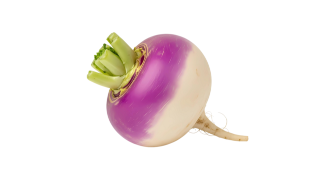A single fresh raw purple and white turnip root vegetable with small green leaves, isolated on a transparent background