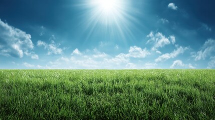 Fototapeta premium Bright Sunny Day Over Lush Green Grass Field with Clear Blue Sky and Fluffy Clouds Illuminated by Radiant Sunlight in a Serene Natural Landscape