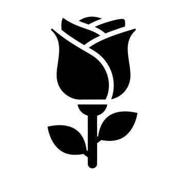 rose solid icon