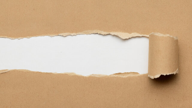 Torn paper revealing empty space for messages or promotion  . Isolated on transparent background, png