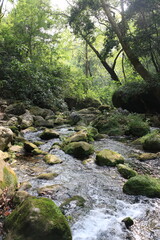 Arroyo en la sierra