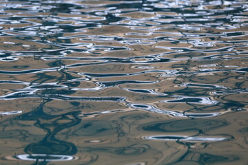 Surface of the water in the pool.