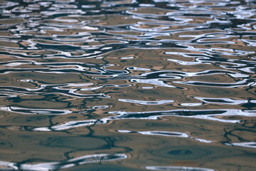 Surface of the water in the pool.