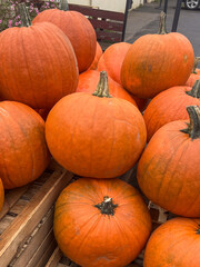 Vibrant orange pumpkins stacked on wooden crates in a market setting, showcasing their textured skin and seasonal appeal for autumn festivities and culinary uses