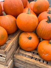 Vibrant orange pumpkins stacked on wooden crates, showcasing their round shapes and textured surfaces, perfect for autumn decorations and seasonal festivities