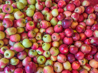 Fresh assorted apples in vibrant colors, showcasing a variety of textures and sizes, arranged in a market display, emphasizing natural produce and healthy eating choices
