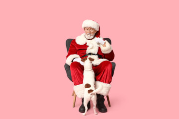 Santa Claus with cute Jack Russell Terrier dog on pink background