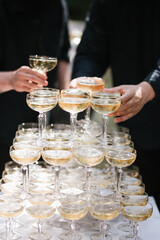 Champagne tower celebration with crystal coupe glasses and golden sparkling wine, captured in...