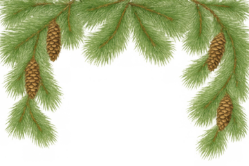 Pine branches with pinecones forming a christmas decorative border element, transparent background