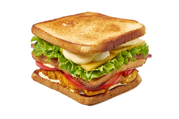 An incredibly Delicious Toasted Sandwich filled with an assortment of Fresh Ingredients