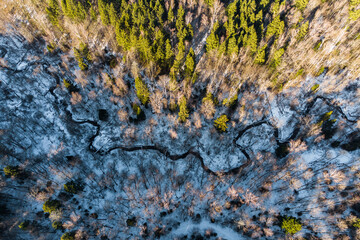 Aerial vista of a snaking waterway weaving through a snowy winter wonderland. Evergreen pines and dormant hardwoods stand in golden sunlight
