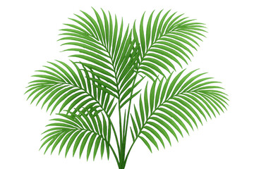 Naklejka premium Tropical palm tree leaves illustration on transparent background providing summer and holiday design elements