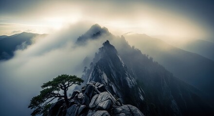 Majestic Mist-Shrouded Mountains with Ancient Pine at Dawn