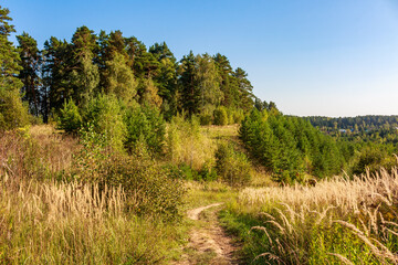 A winding dirt track leads through sun-drenched golden grasses and lush green trees on a serene autumn hillside, offering a peaceful natural vista