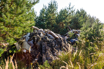Illegal dumping site in a pine forest, a pile of mixed waste defiling nature. An environmental disgrace among green trees and sunlit fall grass