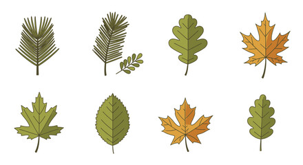 Variety of autumn leaves vector cartoon style isolated on white background