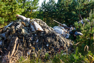 Large pile of illegally dumped construction and household waste in a forest. Unsightly environmental pollution, a messy, neglected site amidst green pines