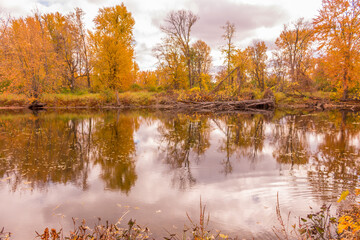 Obraz premium Beautiful colorful autumn scenery lake view