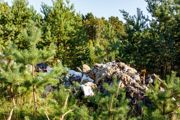 Grimy heap of rubbish spoils a beautiful pine forest, starkly depicting environmental degradation and irresponsible waste dumping