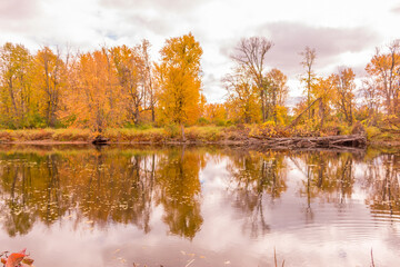 Beautiful colorful autumn scenery lake view