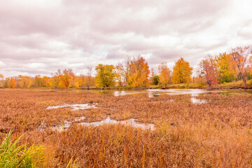 Fototapeta premium Beautiful colorful autumn scenery lake view