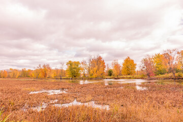 Fototapeta premium Beautiful colorful autumn scenery lake view