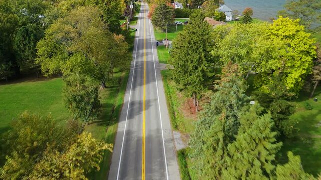 Aerial view of a typical American suburban road lined with green trees and lawns, showing a calm neighborhood intersection.