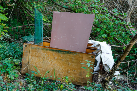 Junked furniture, glass panels, and various discards form a makeshift dump in lush woods. A stark scene of environmental blight in late summer