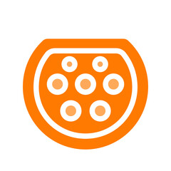 type 2 port orange icon