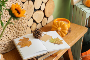 Book with autumn leaves and fir cone on bench in room, closeup