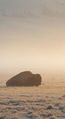 Vertical Portrait: Bison Silhouette Against a Pale Background of Hazy Hills and Trees