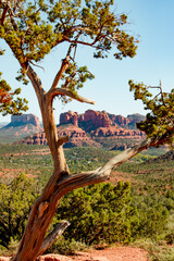 Red rocks in Sedona, Arizona