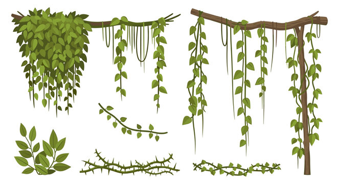 Lush green vines and thorny branches create a tropical jungle atmosphere for adventure games and botanical designs perfect for nature lovers