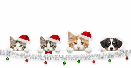 Adorable Kittens and Puppy Wearing Santa Hats and Festive Decorations