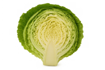 Cabbage half showing crisp green leaves and core, representing healthy eating and raw organic food with transparent background
