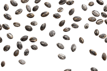 a bunch of seeds are flying in the air