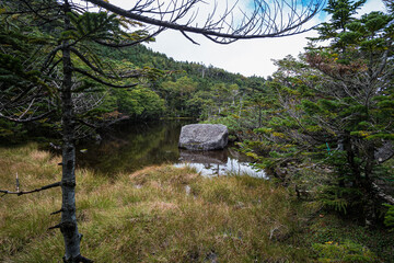 長野県八ヶ岳北横岳七ッ池