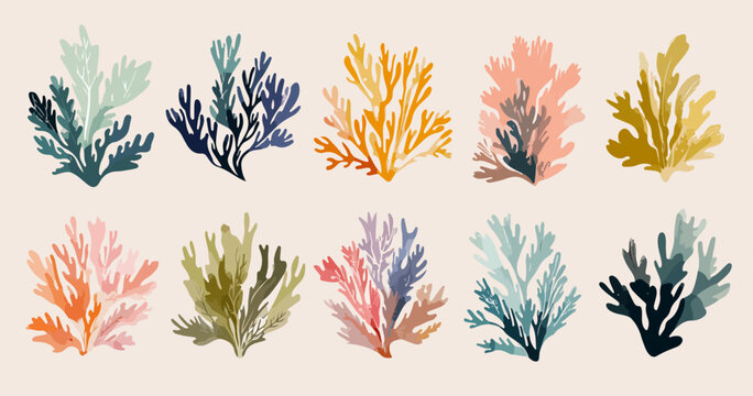 Collection de vecteurs de coraux stylis&eacute;s aux couleurs pastel douces, parfait pour le design marin.