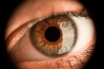 Naklejka premium The deep brown close up eye of the girl is looking forward!