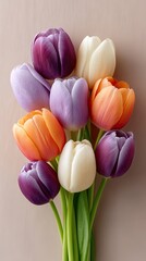 Top Down View Of A Vibrant Bouquet Of Multicolored Tulips In Bloom With Water Droplets Scattered Across Petals Against A Soft Beige Backdrop