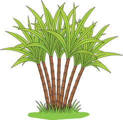 Sugarcane plant illustration, tropical agriculture drawing, sugar crop artwork, farm harvest sketch, botanical plant design, green leaves, healthy stalks, nature farming
