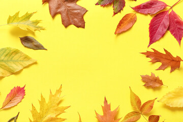 Frame made of beautiful autumn leaves on yellow background, closeup