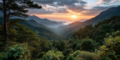 Exploring biodiversity loss solutions in a lush forest valley at sunset nature photography serene landscape environmental awareness