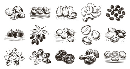 Set of vintage engraved illustrations featuring healthy nuts and dried fruits like almonds, cashews, figs, and dates. Detailed hand-drawn sketch of superfood and snack ingredients.