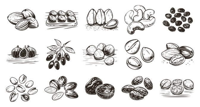 Set of vintage engraved illustrations featuring healthy nuts and dried fruits like almonds, cashews, figs, and dates. Detailed hand-drawn sketch of superfood and snack ingredients.