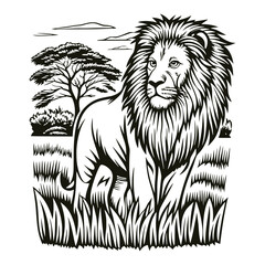 Majestic lion standing in savanna grass with an acacia tree in the background. Vintage engraved illustration of the king of the jungle, perfect for wildlife and African safari themes.