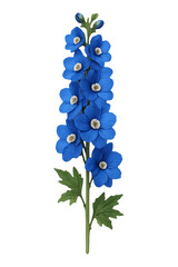 Fototapeta premium Delphinium flower isolated on transparent background