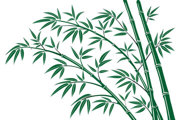 Obraz premium bamboo leaves on a white background