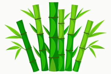 Fototapeta premium bamboo vector illustration