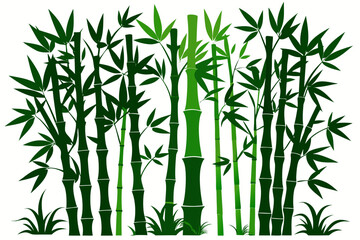 Naklejka premium bamboo vector illustration